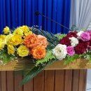 윤경화농장 네이버블로그