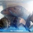 하운드호텔 서면 이미지