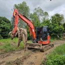 박은영농장 이미지