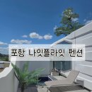 나잇플라잇 이미지