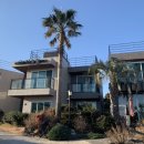 섶섬 아우룸 이미지