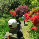 율곡초등학교 병설유치원 이미지