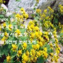 영어회화2 이미지