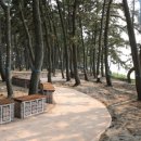 송림자동차정비 이미지