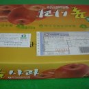 선홍농장 이미지