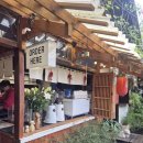 스틸 | 달랏 스틸 카페 후기｜숲속 일본 감성 카페 &amp; 토토로 포토존