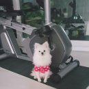 송죽반점 이미지