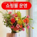 서울당일꽃배달 보태니카 신사 주차문의