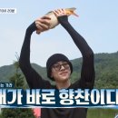 청춘의어부