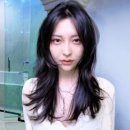 헤어에스티미오 이미지