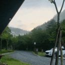 태백고원자연휴양림 자동차야영장 이미지