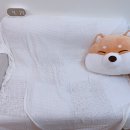 담이네일