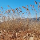 낙동강 따라 걷기35(물금역-옛 동원진나루터-구포역) 이미지