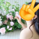 에브리하우스 | W-7. 헤로하우스(토탈) 셀렉 후기 | 앨범 미리보기