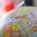 쥬라기동물병원 이미지