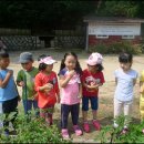 금잔디유치원 이미지