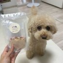 더맛있개 이미지