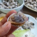 벌교초장집 이미지