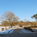 해미-비상-5 이미지