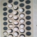 이소농장 이미지