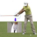 다운골프연습장 이미지