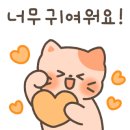 스텔라영어 - 의왕시 내손중앙로 4 | 스텔라영어