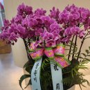 청담밴스의원 이미지