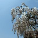 무안북중학교 이미지