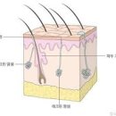 역곡남부역 이미지