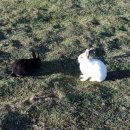 주주목장 이미지