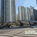 도곡로61길 네이버블로그