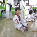 선우태권도 이미지