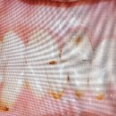 예스부부치과의원 이미지