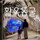 100세동안 제천점 | 365일 딱 좋은 충주 활옥동굴 여행 가기전 체크해야할것( 가격, 후기)
