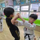 용인대 명인 태권도장 이미지