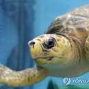 재산보건지소 이미지