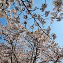 장수랑갈비(주) 이미지