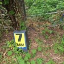 WG골프랜드 이미지