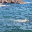 비화항B 이미지