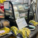 뚱2 | 동성로 디저트 뚱이 크레페 뚱2 내돈내산 직접 먹어본 후기