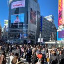 남성교차로 4 | 도쿄 3박 4일 여행ㅣday 2 시부야 스크램블교차로, 이치란라멘, BEAMS 빔스, 후글렌, 오모테산도...