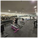 바디스미스 이미지