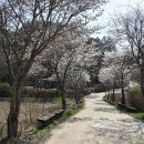 북한강물새길(봄내길 7코스) | 강원 춘천 봄내길 2코스(2026.04.13)