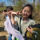 행복한동행 LTA 두번째이야기 | 검단신도시 비채태권도| 계양산 봄소풍 후기