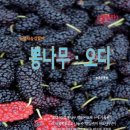 송음농장 이미지