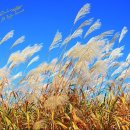 행복한생활중심 이미지