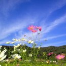 옥과곡성 이미지