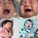 바쁜 육아생활 쌍둥이 첫이유식 육아템 정리 올인원 베이비 이유식마스터기 자동 돌릴수있는 바이탈...