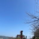 흥성탑마트 이미지