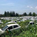 ​​‘충격! 중국의 자동차 묘지’, 수천 대의 신형 전기차가 썩어가고 있다. 이미지